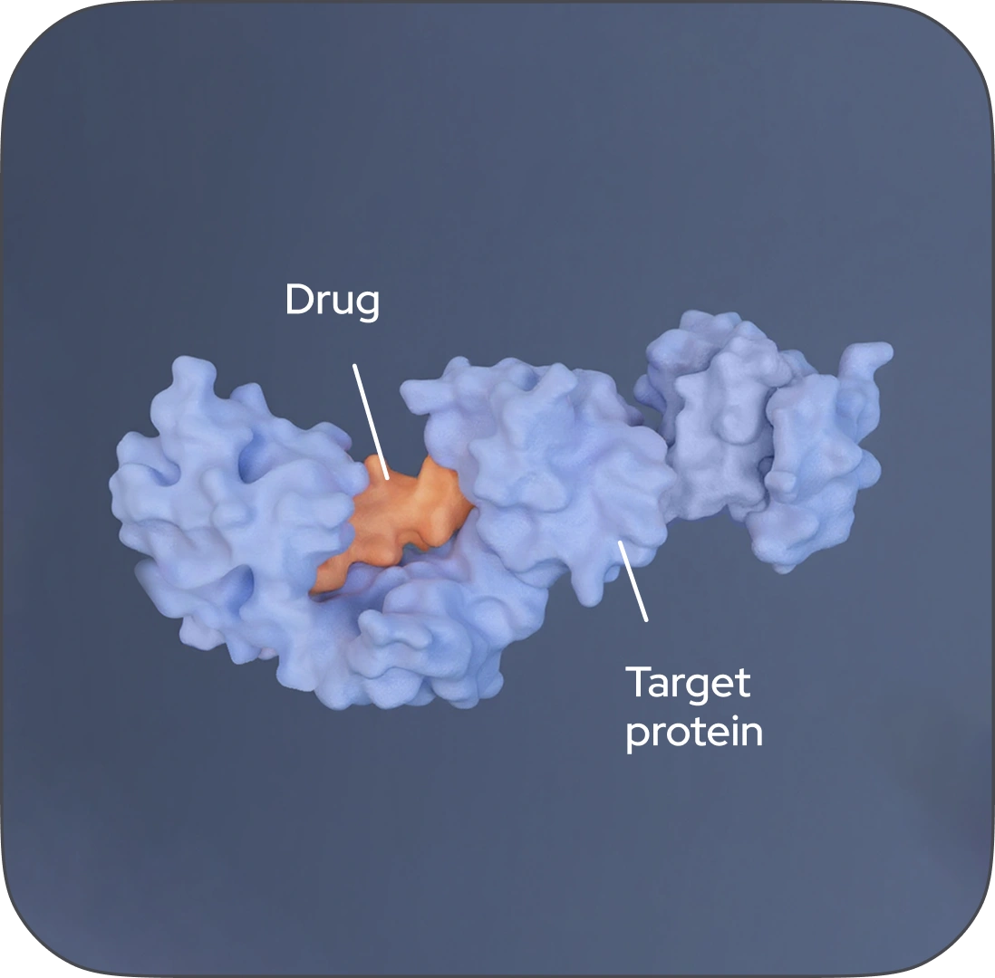 Reduce model development time